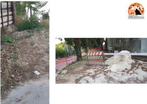 Pescara/Colle Madonna, cimitero in abbandono e degrado