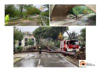 Maltempo nel pescarese: alberi caduti e con piccole frane sulle strade. Ecco dove.
