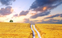 Teramo, “Agricoltura è Futuro”