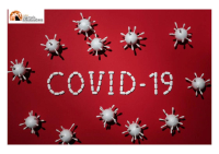 Coronavirus Abruzzo, andamento 13-19 maggio: 660 positivi e 836 guariti