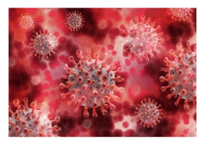 Abruzzo/Covid. 23 nuovi casi di età compresa tra 18 e 68 anni