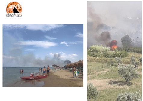 Pescara. Associazioni ambientali: prevenzione contro gli incendi.