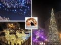 Pescara, Natale con luci, spettacoli, gente e un albero meraviglioso a Piazza Salotto