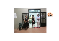 Francavilla, inaugurata la mostra personale di Stefania Barile