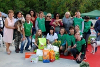 Montesilvano, Dog Village, raccolta solidale per animali abbandonati