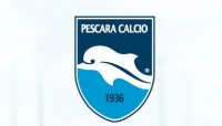 il simbolo del Pecara delfino