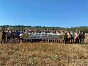 Congiunti: Setter e Pointer al lavoro