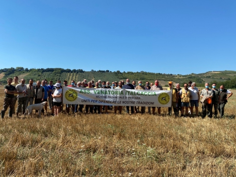 Congiunti: Setter e Pointer al lavoro