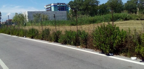 Corso Strasburgo questa matttina alle 11,50