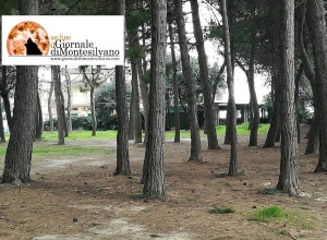 Montesilvano. Presidio cittadino contro il degrado.