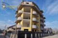 Nel patrimonio