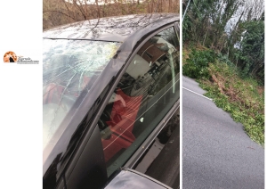 Incidente a Manoppello, cade un albero sulla statale 539