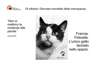 18 ottobre. Felicette, l'unica gatta nello Spazio