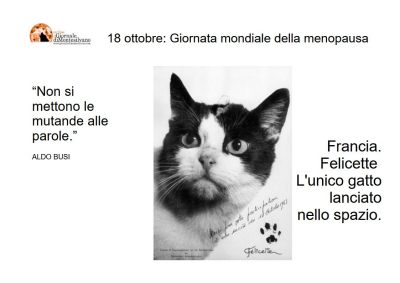 18 ottobre. Felicette, l'unica gatta nello Spazio