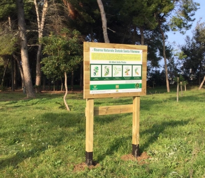 Indicazione degli alberi in Pineta dal Leccio, Frassino, farnia, al Pino d'Aleppo e domestico 