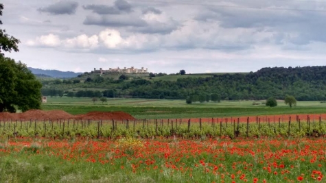 La Canterbury Roma percorsa dai pellegrini nel Medioevo direzione Gerusalemme
