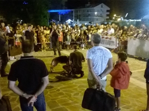 Festestiva. “2016”- Amare Montesilvano presenta il calendario degli eventi.