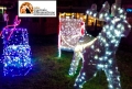 Pescara. Luci d’artista accese anche durante i saldi