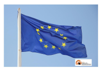 Borghi (Lega) propone: 'Via la bandiera Ue dagli edifici pubblici'