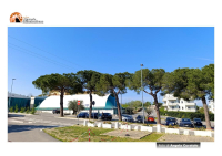 Montesilvano. De Martinis alla festa dello Sport che conclude il progetto “MuoverSi”