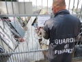 Cappelle sul tavo: sequestrata discarica abusiva di circa 2.350 MQ