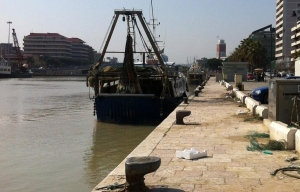 Pescara/Porto. Febbo: massima attenzione sul legame dragaggio inquinamento