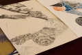 Le illustrazioni presentate in conferenza stampa