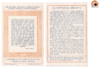 due pergamene documenti in esposizione