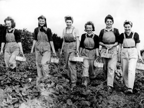 Ragazze nei campi. Italiane under 34. Fondi per giovani agricoltori