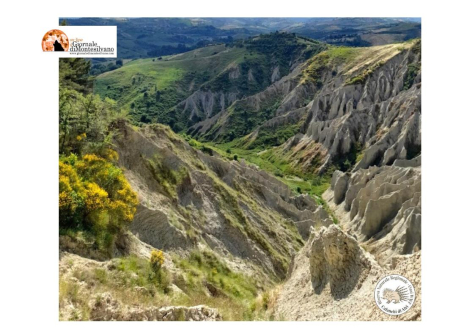 Calanchi di Atri, arrivano le api