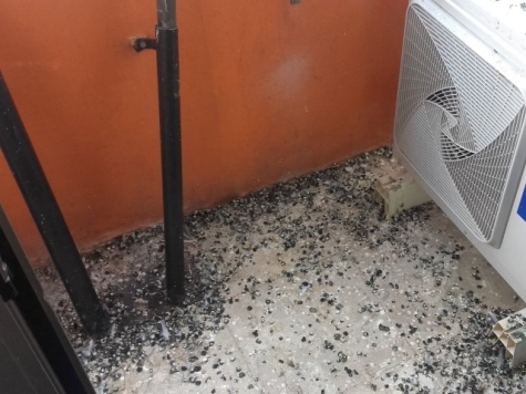 gli escrementi di piccione sul balcone del primo piano del Municipio