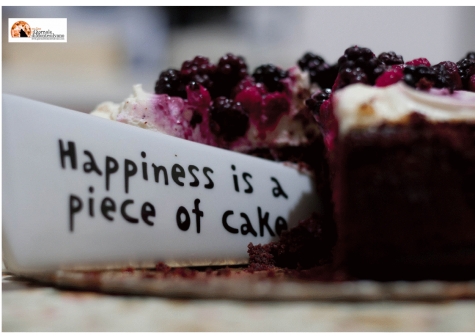 Manovra, voto oggi: Governo pone fiducia