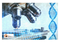 Mostro di Firenze. Dna sconosciuto sulla scena dell'ultimo delitto.