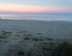 Montesilvano/Spiagge libere, il Comune cerca associazioni e cooperative per affidare la gestione