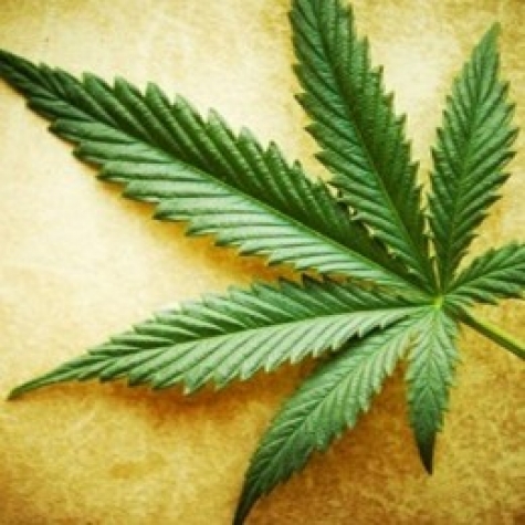 Cannabis/legalizzazione.Pedicini  "Incompetenza Lorenzin"