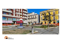Pescara. Il restyling continua. Al posto dei lecci ormai morti si pianteranno solo agrifogli!