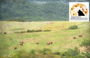 Abruzzo e’ sos nella campagne senza alternativa voucher