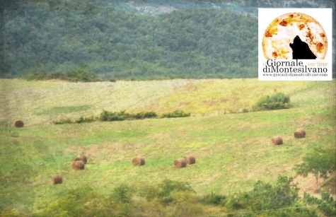 Abruzzo e’ sos nella campagne senza alternativa voucher