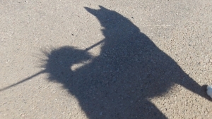 Video choc: auto trascina sull'asfalto cane al guinzaglio.