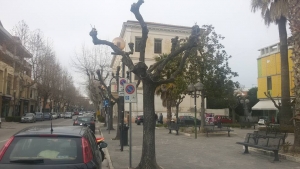 Giulianova lido. Bocciata la gestione del verde