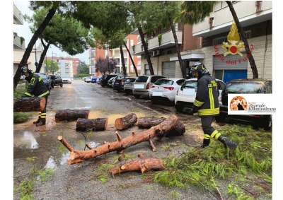 Pescara/maltempo. Mezzi in sosta schiacciati da un albero caduto.