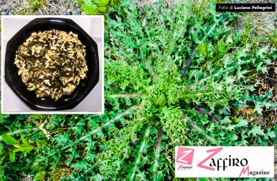 Ricette e cucina: riso e cascigno