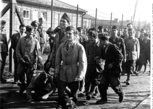 foto wikipedia common