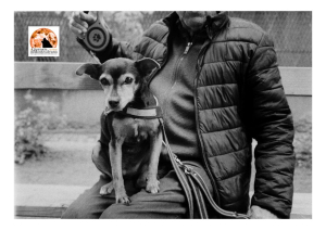 Loreto Aprutino. Ora i pet possono essere tumulati con i loro conduttori
