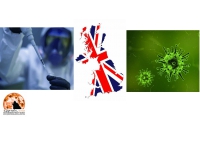 Covid 19. Gran Bretagna approva vaccino