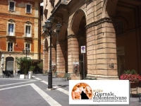 Chieti, m5s: via patente a chi guida con smartphone