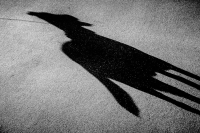 Turchia: amputa zampe e coda al cagnolino e lo abbandona in un bosco.