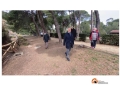 Pescara, riaprono due comparti della Pineta Dannunziana