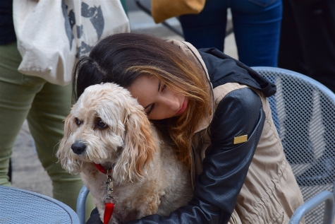 Un cagnolino con la sua amica, lo protegge e lo abbraccia.