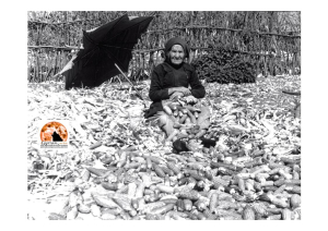 L’Abruzzo in uno sguardo: memorie fotografiche tra storia e territorio al Museo delle Genti d’Abruzzo